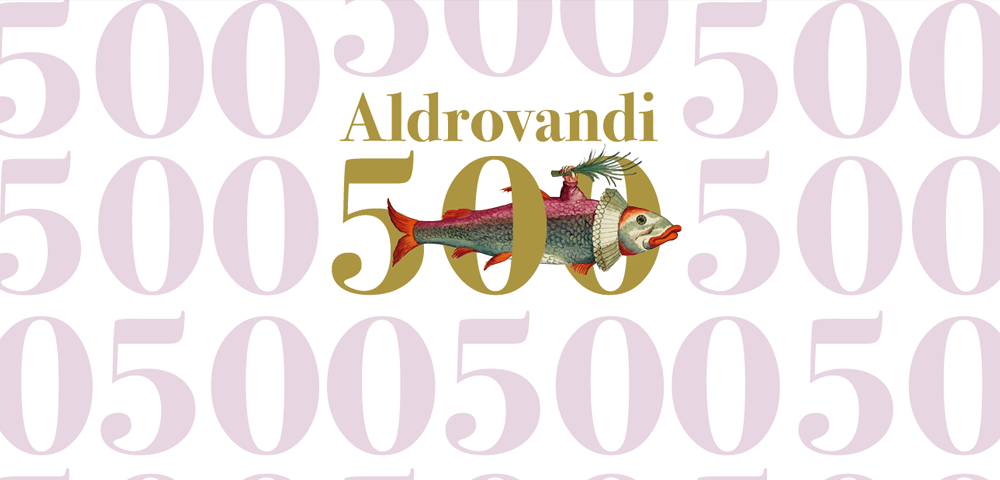Aldrovandi 500