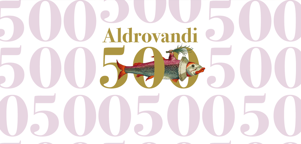 Aldrovandi_500.png - 153,57 kB