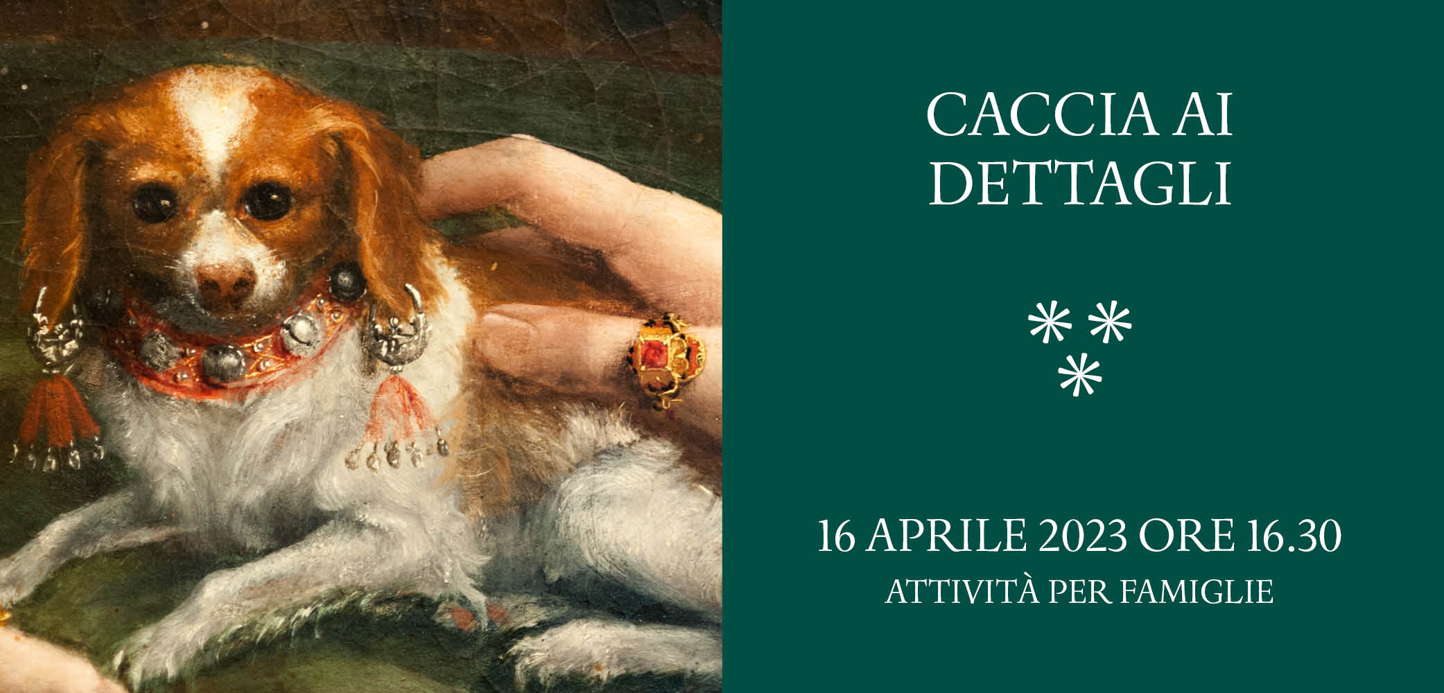 caccia ai dettagli